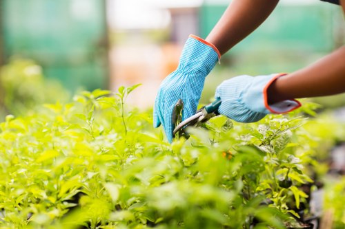 Recycling and composting green waste from hedge trimming in local depot